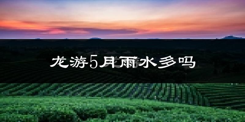 龙游5月雨水多吗?