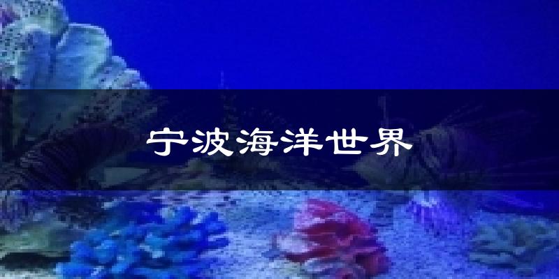 宁波海洋世界天气预报十五天